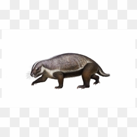 Crazy Beast Madagascar, HD Png Download - the good dinosaur png
