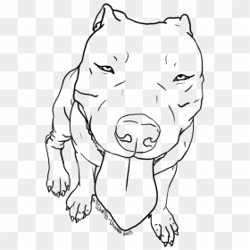 American Pit Bull Terrier Bulldog Drawing Line Art - Easy Cool Cartoon Drawings, HD Png Download - undead png