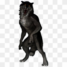 #werewolf #lycanthrope #beast #fullmoon #lycan #halloween - Spider Monkey, HD Png Download - wolfman png