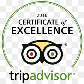 Trip Advisor Certificate Of Excellence - Certificate Of Excellence 2019, HD Png Download - eye of providence png