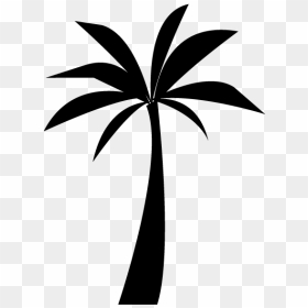 Icon Png Palm Tree, Transparent Png - palm tree icon png