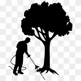 Root Aeriation, Decompaction &amp - Silhouette, HD Png Download - tree root png