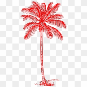 Vintage Palm Trees Art, HD Png Download - palm tree icon png