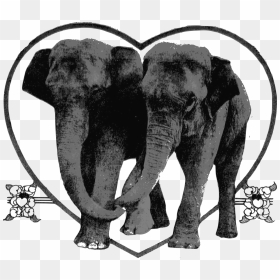 Lover Elephants Clip Arts - Tiere Herz, HD Png Download - elephants png