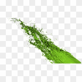 Lime Green Paint Png, Transparent Png - green paint splatter png