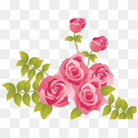 Transparent Pink Floral Clipart - Pink Roses Clipart Png, Png Download - roses clipart png