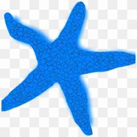Starfish Clipart Silhouette - Blue Star Fish Clipart, HD Png Download - starfish silhouette png