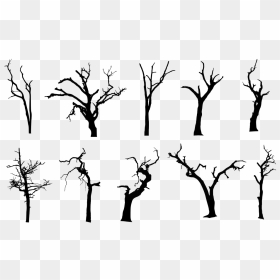 Spooky Tree Png Photos - Simple Dead Tree Silhouette, Transparent Png - vhv