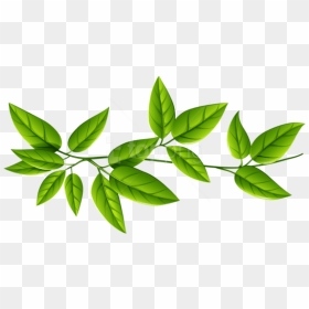Free Png Download Green Leaves Clipart Png Photo Png - Green Leaves Transparent Background, Png Download - leaves clipart png