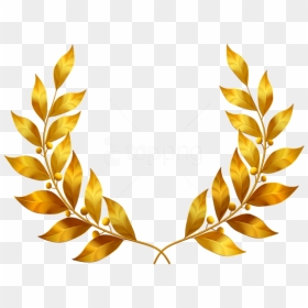 Free Png Download Laurel Leaves Clipart Png Photo Png - Transparent Laurel Leaf Png, Png Download - leaves clipart png