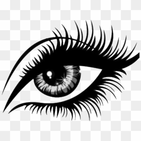 Disease Drawing Eye - Clipart Eyelashes Transparent, HD Png Download - eye drawing png