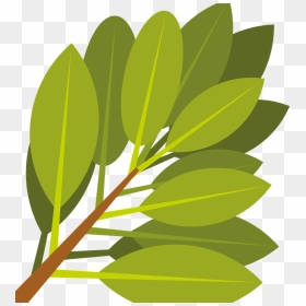 Branch With Green Leaves Clipart, HD Png Download - leaves clipart png