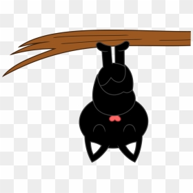 A Hanging Bat Nap By Porygon - Hanging Bat Cartoon Clipart, HD Png Download - bat clipart png