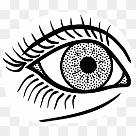 Transparent Eye Clip Art - Eye In Line Art, HD Png Download - eye drawing png