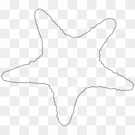 Drawing, HD Png Download - starfish silhouette png