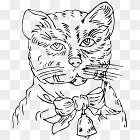 Cat, HD Png Download - kitten face png