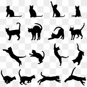 Black Cat Kitten Clip Art - Cat Silhouette, HD Png Download - kitten face png