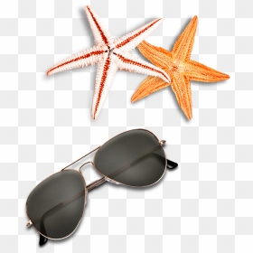 Beach Elements Sunglasses Starfish Free Clipart Hd - Png Clipart Beach Elements Png, Transparent Png - starfish silhouette png