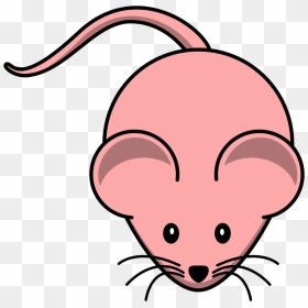 Rat Clip Art, HD Png Download - mouse clipart png