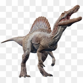   - Jurassic World Evolution Corythosaurus, HD Png Download - spinosaurus png