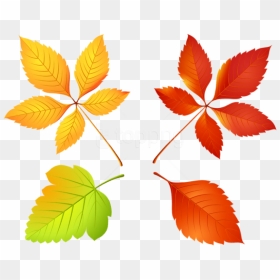 Free Png Download Autumn Leaves Set Clipart Png Photo - Лист Осень Пнг, Transparent Png - leaves clipart png