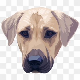 Puppy Leader - Companion Dog, HD Png Download - dog pooping png