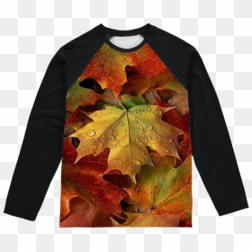 Maple Leaf, HD Png Download - falling leaf png