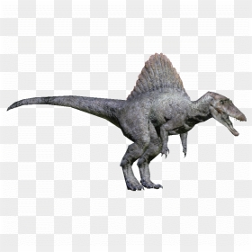 Zt2 Download Library Wiki Spinosaurus , Png Download - Spinosaurus Zoo Tycoon, Transparent Png - spinosaurus png