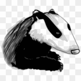 Sheep - Wisconsin Badgers - Team Colors - College Football - Honey Badger Drawing Transparent, HD Png Download - wisconsin outline png