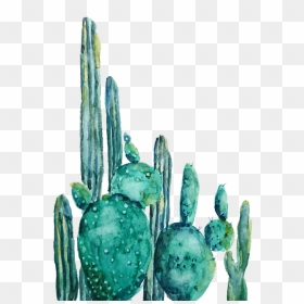 Bleed Area May Not Be Visible - Cactus Watercolor Painting, HD Png Download - watercolor cactus png