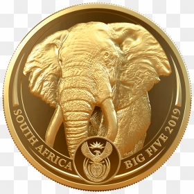 Ibsud191333 1 - South African Gold Coins, HD Png Download - elephants png