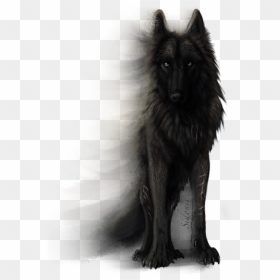 Anime Wolf Drawing , Png Download - Anime Black Wolf Png, Transparent Png - anime wolf png