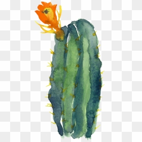 Watercolor Cactus Clipart Png, Transparent Png - watercolor cactus png