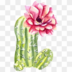 Green Watercolor Hand Painted Cactus Flower Transparent - Watercolor Cactus Flower Painting, HD Png Download - watercolor cactus png