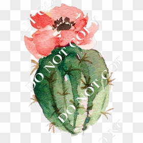 Watercolor Cactus Png , Png Download - Pinturas De Acuarelas Png, Transparent Png - watercolor cactus png