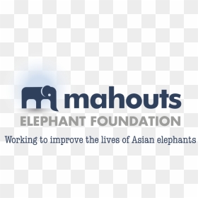 Mahouts Foundation Logo Strap - Head First, HD Png Download - elephants png
