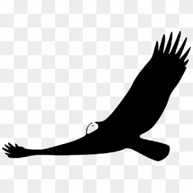 Animals, Turkey, Silhouette, Cartoon, Birds, Flying - Vulture Clip Art, HD Png Download - turkey silhouette png