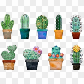 Watercolor Cactus In Pots, HD Png Download - watercolor cactus png