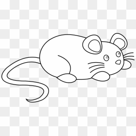 Minnie Mouse Mickey Mouse Rodent Clip Art - Black And White Transparent Rat Clipart, HD Png Download - mouse clipart png