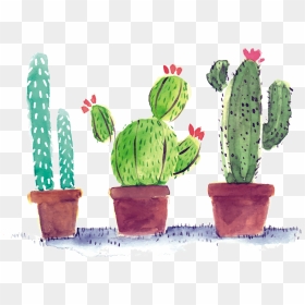 #cactus #watercolor - Transparent Background Cactus Cute Clipart, HD Png Download - watercolor cactus png