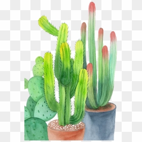 #ftestickers #watercolor #cactus #cacti #potted - Watercolor Cactus Cactus Png, Transparent Png - watercolor cactus png