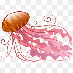 Jellyfish Clipart - Clipart Jelly Fish, HD Png Download - jelly fish png