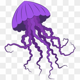 Jellyfish Clipart, HD Png Download - jelly fish png
