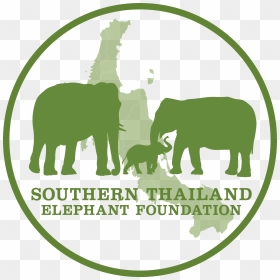 Indian Elephant, HD Png Download - elephants png