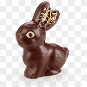 Chocolate Bunny Goldy 100g - Domestic Rabbit, HD Png Download - chocolate bunny png
