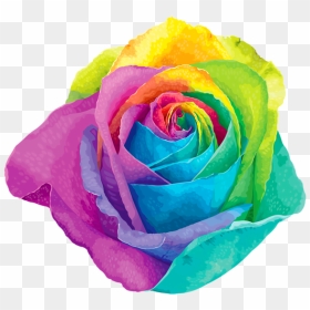 Thumb Image - Rainbow Flower Png, Transparent Png - rainbow overlay png