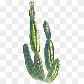 Collection Of Free Cactus Transparent Water Paint Download - Water Painting With Transparent Background, HD Png Download - watercolor cactus png