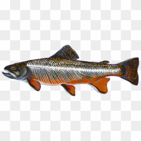 Rainbow Trout Skeleton, HD Png Download - rainbow overlay png