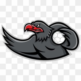 Mascot Icon Illustration Of Bust Of An Eagle Handball - Handball, HD Png Download - eagle icon png