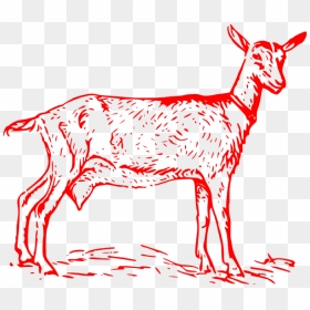 Goat Clipart Pink - Nigerian Dwarf Goat Outline, HD Png Download - goat.png